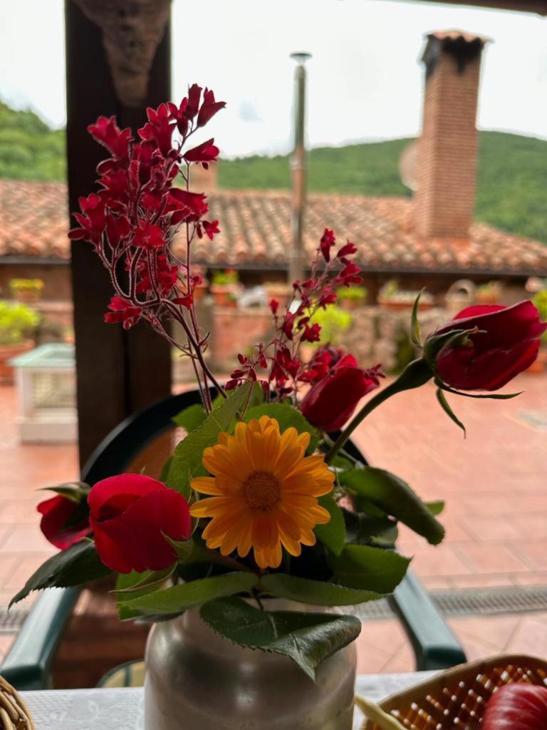 Ezcaray Turza Casa Rural Completa Hasta 8Pax Exteriér fotografie
