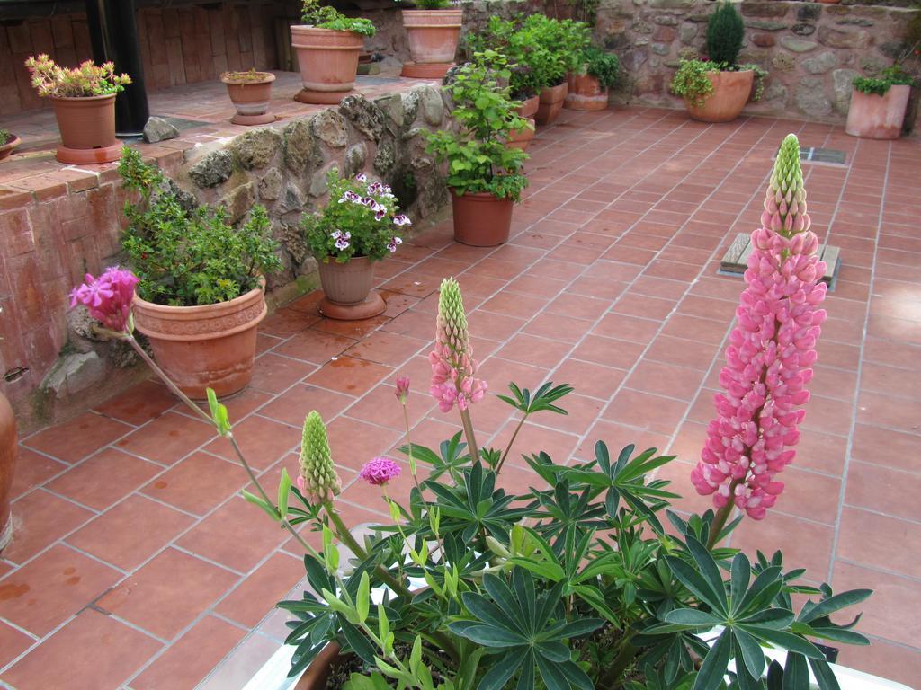 Ezcaray Turza Casa Rural Completa Hasta 8Pax Exteriér fotografie